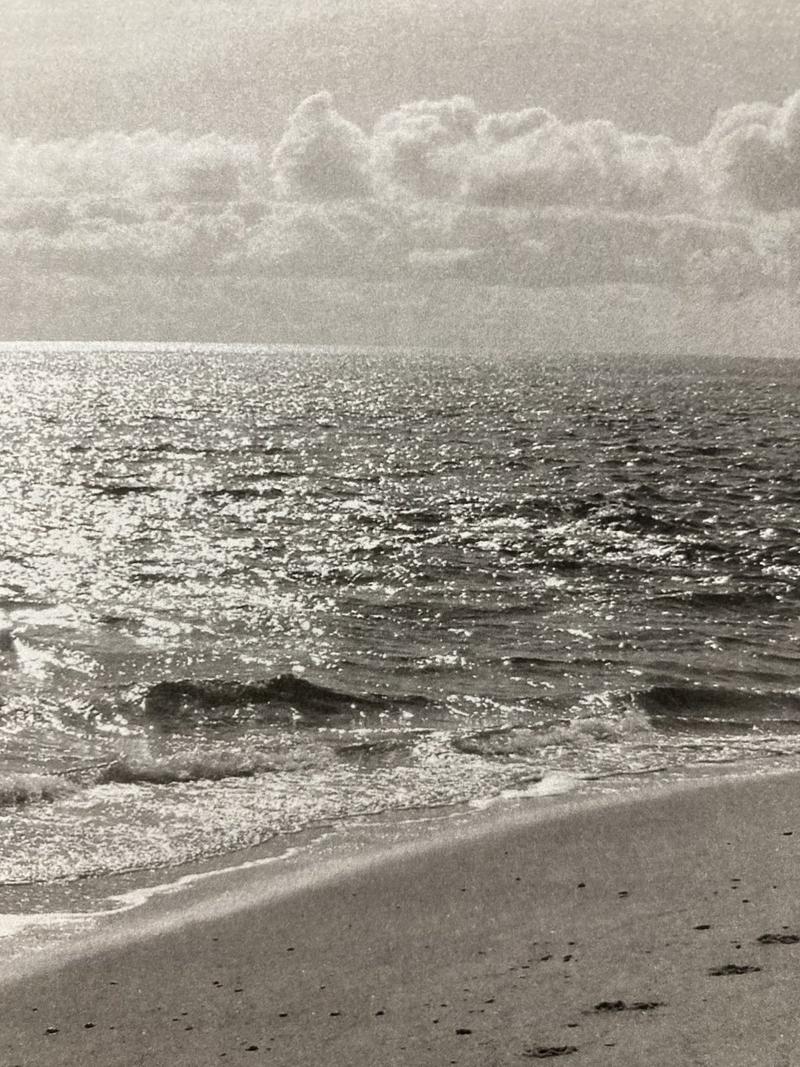 The sea