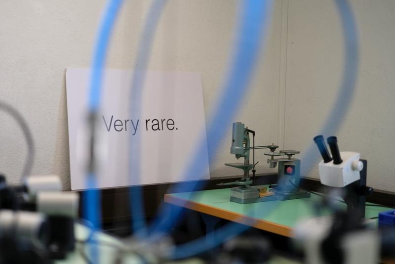 Inside look into the Moser manufacture